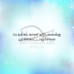 Land Sale Eravur - 4 ஏக்கர் காணி விற்பனைக்கு - முறக்கொட்டாஞ்சேனை ஏறாவூர் - Kattankudy Ads (KKY ADS)