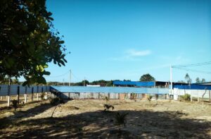 Land Sale Eravur - 18 பேர்சஸ் காணி விற்பனைக்கு - ஷக்காத் கிராமம் ஏறாவூர் - Kattankudy Ads (KKY ADS)