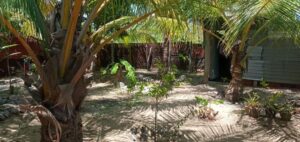 Land Sale Palamunai - வளவு துண்டுகள் விற்பனைக்கு - பாலமுனை காத்தான்குடி - Kattankudy Ads (KKY ADS)