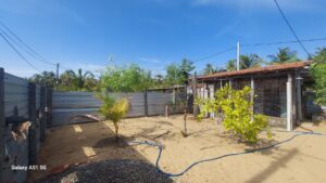 Land Sale Palamunai - 50X50 அடி விற்பனைக்கு - பாலமுனை ஆரையம்பதி - Kattankudy Ads (KKY ADS)