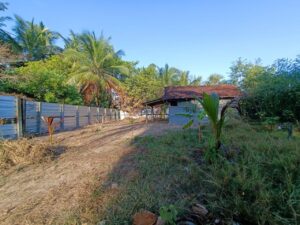 Land Sale Ollikkulam - 100X48 அடி காணி விற்பனைக்கு - மண்முனை வீதி ஒல்லிக்குளம் - Kattankudy Ads (KKY ADS)