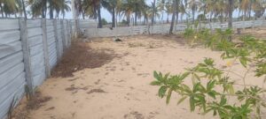 Land Sale Palamunai - 02 காணித்துண்டுகள் விற்பனைக்கு உண்டு - நடுவோடை பாலமுனை ஆரையம்பதி - Kattankudy Ads (KKY ADS)