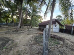 Land Sale Palamunai - 33 பேச்சஸ் காணி விற்பனைக்கு - புதிய RDS வீதி பாலமுனை ஆரையம்பதி - Kattankudy Ads (KKY ADS)