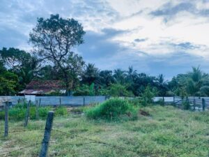 Land Sale Manchanthoduvai - 10 பேச்சஸ் காணி விற்பனைக்கு - மெயின் வீதி மஞ்சந்தொடுவாய் - Kattankudy Ads (KKY ADS)