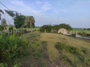 Land Sale Majma Nagar Oddamavadi - 290X72 அடி காணி விற்பனைக்கு - மஜ்மா நகர் ஓட்டமாவடி - Kattankudy Ads (KKY ADS)