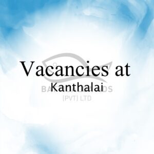 Vacancy Kanthalai - Sales Man தேவை - கந்தளாய் - Kattankudy Ads (KKY ADS)