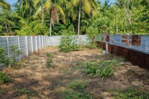 Land Sale Arayampathy Kattankudy - 76X24 அடி காணி விற்பனைக்கு - நடுவோடை பாலமுணை ஆரையம்பதி - Kattankudy Ads (KKY ADS)