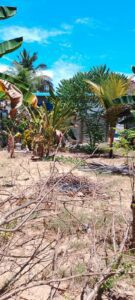 Land Sale Kattankudy - 50X25 அடி காணி விற்பனைக்கு - அன்வர் பாடசாலை வீதி காத்தான்குடி - Kattankudy Ads (KKY ADS)