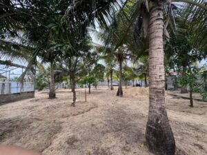 Land Sale Kattankudy Manchanthoduvai - 90X70 அடி காணி விற்பனைக்கு - பூநொச்சிமுனை காத்தான்குடி - Kattankudy Ads (KKY ADS)