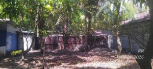 Land Sale Palamunai Kattankudy - 76X45 அடி காணி விற்பனைக்கு - கர்பலா வீதி பாலமுனை காத்தான்குடி - Kattankudy Ads (KKY ADS)