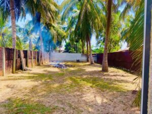 Land Sale Palamunai Kattankudy - 70X35 அடி காணி விற்பனைக்கு - RDS வீதி பாலமுனை காத்தான்குடி - Kattankudy Ads (KKY ADS)