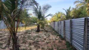 Land Sale Kattankudy - 03 காணித்துன்டுகள் விற்பனைக்கு - பூநொச்சிமுனை காத்தான்குடி - Kattankudy Ads (KKY ADS)