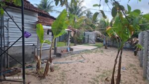 Land Sale Palamunai - 48X36 அடி வளவு விற்பனைக்கு - பிரதான வீதி பாலமுனை ஆரையம்பதி - Kattankudy Ads (KKY ADS)