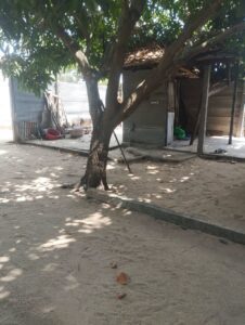 Land Sale Poonochimunai Kattankudy - 32X24 அடி காணி விற்பனைக்கு - பூனொச்சிமுனை காத்தான்குடி - Kattankudy Ads (KKY ADS)