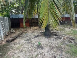 X Land Sale Palamunai Kattankudy - 79X35 அடி காணி விற்பனைக்கு - கர்பலா காத்தான்குடி - Kattankudy Ads (KKY ADS)