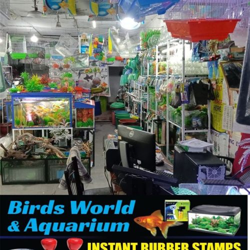 Birds World Aquarium-5195-1