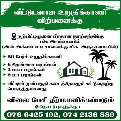 HOUSE-LAND-SALE.jpg
