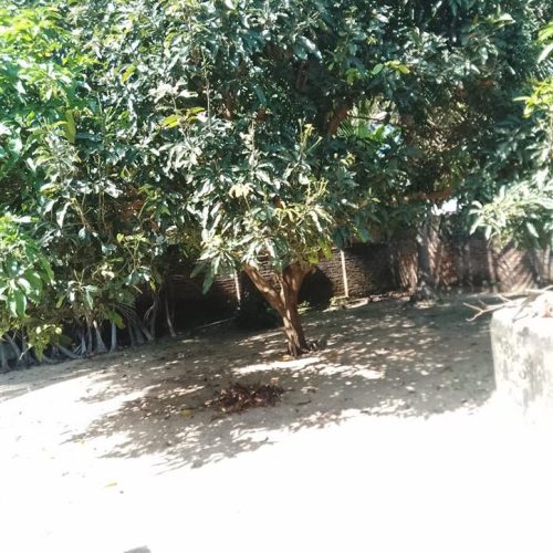 HOUSE-SALE-KALLAR-5827-7