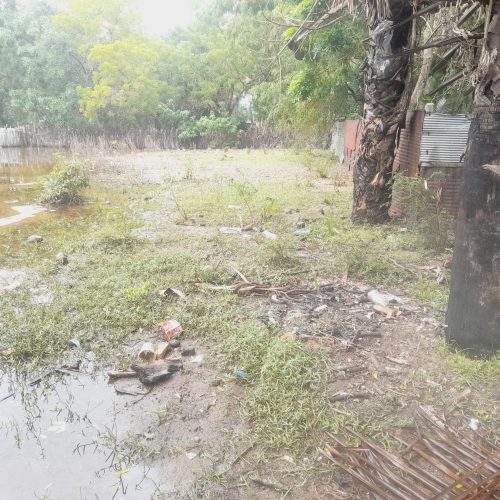 LAND-SALE-ADDALACHENAI-5994-2.jpg