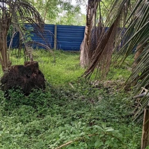 LAND-SALE-ARAYAMPATHY-5939-7