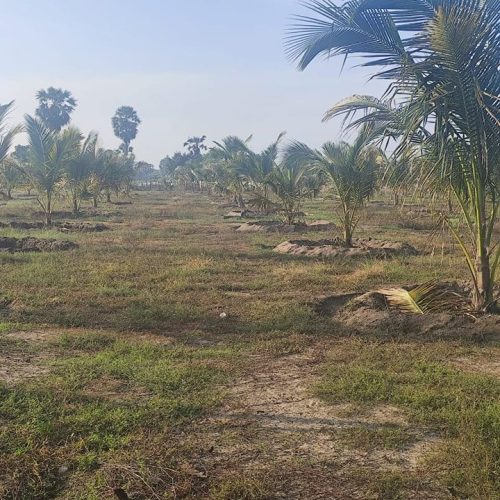 LAND-SALE-ERAVUR-5486-5