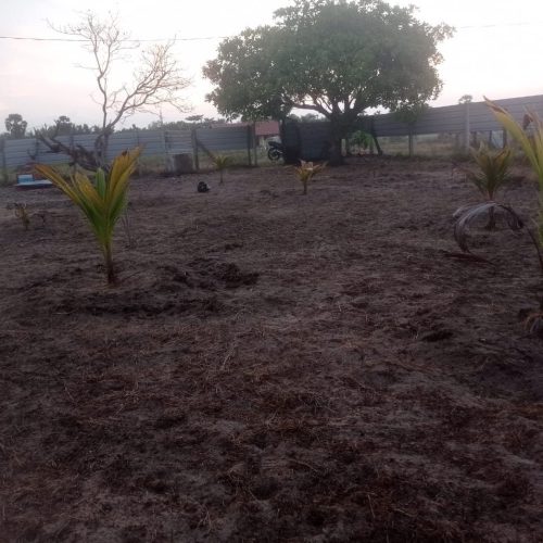 LAND-SALE-ERAVUR-5989-2.jpg