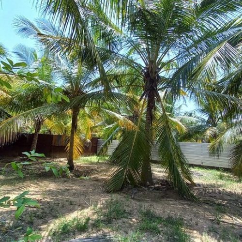 LAND-SALE-KARBALA-5838-10