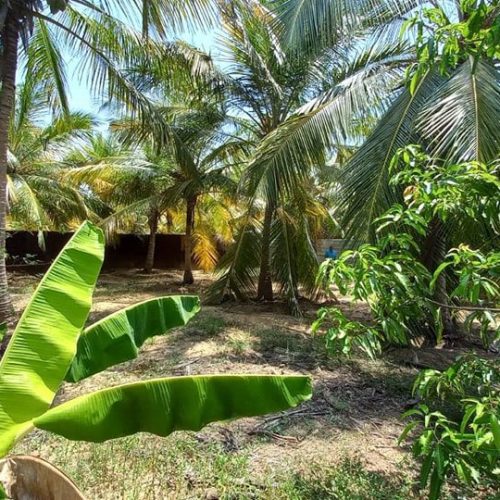 LAND-SALE-KARBALA-5838-11