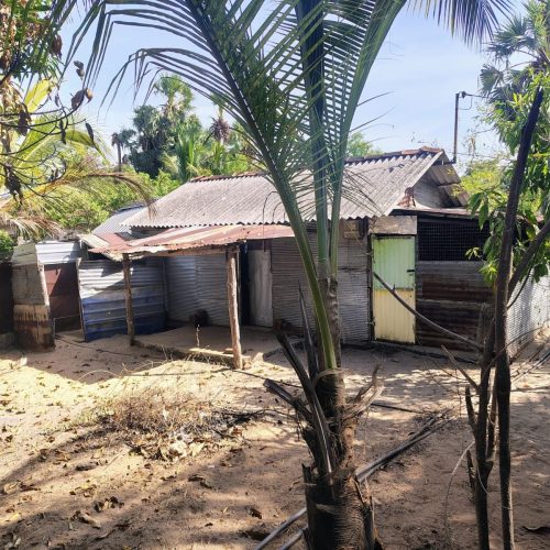 Land Sale Karbala - 41X39 அடி காணி விற்பனைக்கு - கர்பலா காத்தான்குடி - Kattankudy Ads (KKY ADS)