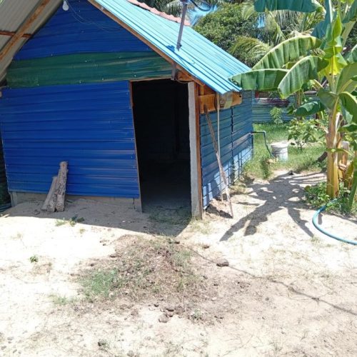 Land Sale Kattankudy - 60X38 அடி காணி விற்பனைக்கு - மஞ்சன்தொடுவாய் காத்தான்குடி - Kattankudy Ads (KKY ADS)