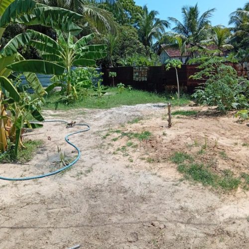 Land Sale Kattankudy - 60X38 அடி காணி விற்பனைக்கு - மஞ்சன்தொடுவாய் காத்தான்குடி - Kattankudy Ads (KKY ADS)