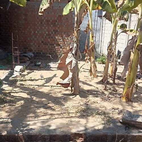LAND-SALE-KATTANKUDY-5096-1