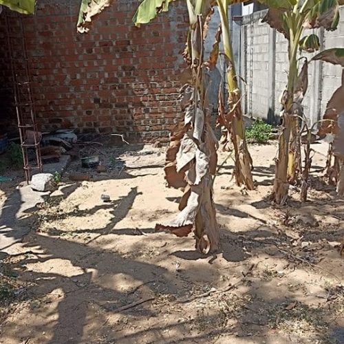 LAND-SALE-KATTANKUDY-5096-2
