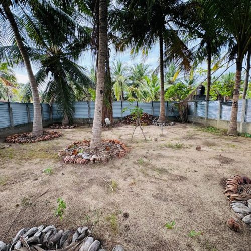 LAND-SALE-KATTANKUDY-5298-5