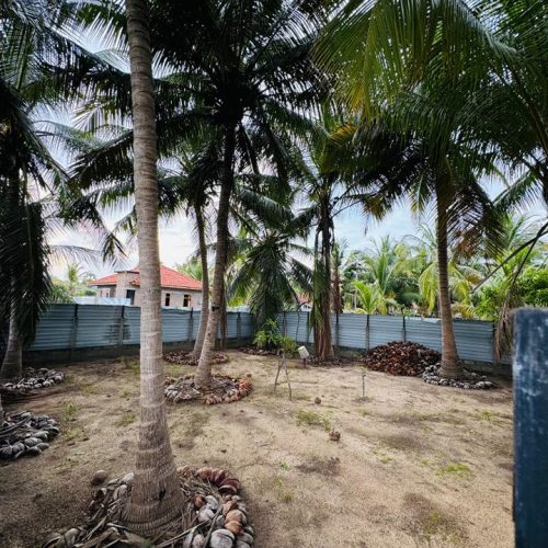 LAND-SALE-KATTANKUDY-5298-6