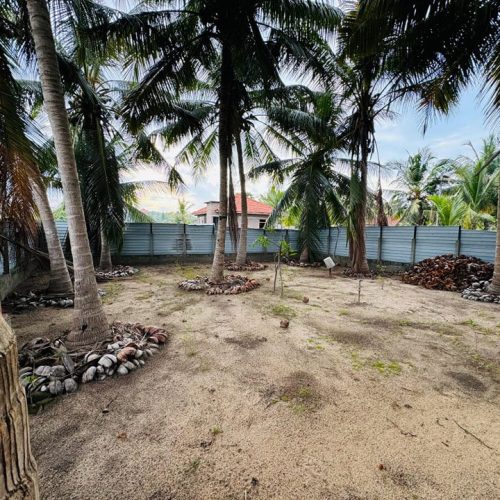 LAND-SALE-KATTANKUDY-5298-7