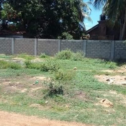 LAND-SALE-KATTANKUDY-5466-2