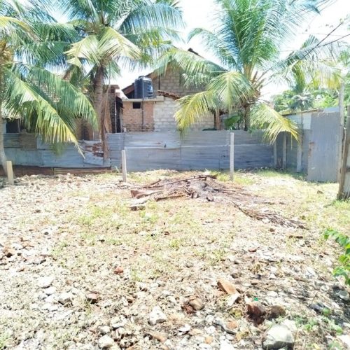 LAND-SALE-KATTANKUDY-5490-4