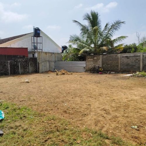 LAND-SALE-KATTANKUDY-5547-3