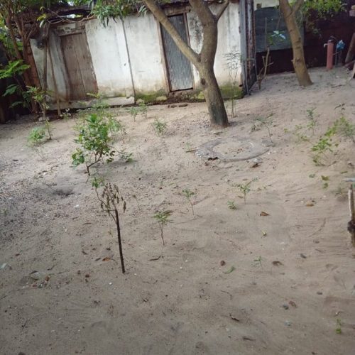 LAND-SALE-KATTANKUDY-5607-1.jpg