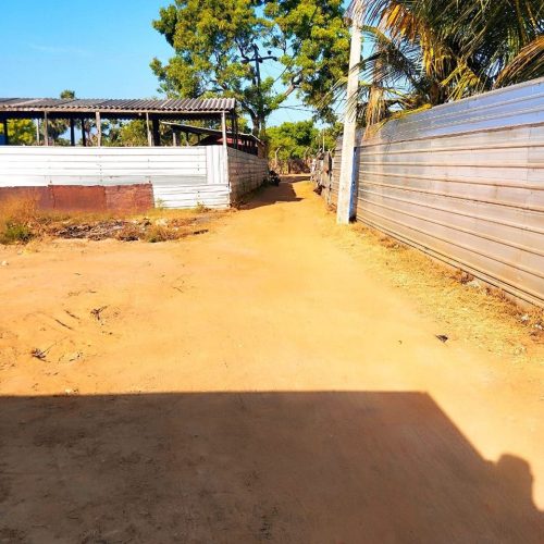 LAND-SALE-KATTANKUDY-5758-8