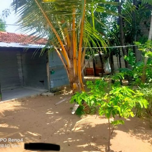 LAND-SALE-KATTANKUDY-5759-1.jpg