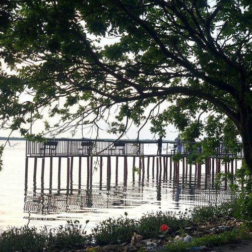 LAND-SALE-KATTANKUDY-5831-11