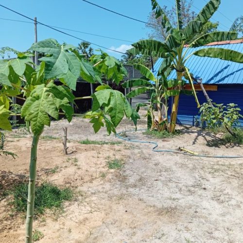 Land Sale Kattankudy - 60X38 அடி காணி விற்பனைக்கு - மஞ்சன்தொடுவாய் காத்தான்குடி - Kattankudy Ads (KKY ADS)