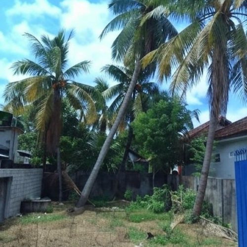 Land Sale Kattankudy - 48X28 அடி காணி விற்பனைக்கு – ஊர் வீதி காத்தான்குடி - Kattankudy Ads (KKY ADS)