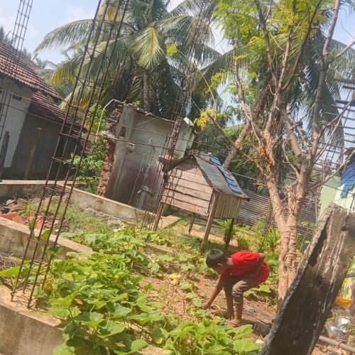 Land Sale Manchanthoduvai - 40X24 அடி காணி விற்பனைக்கு -மஞ்சந்தொடுவாய் காத்தான்குடி - Kattankudy Ads (KKY ADS)