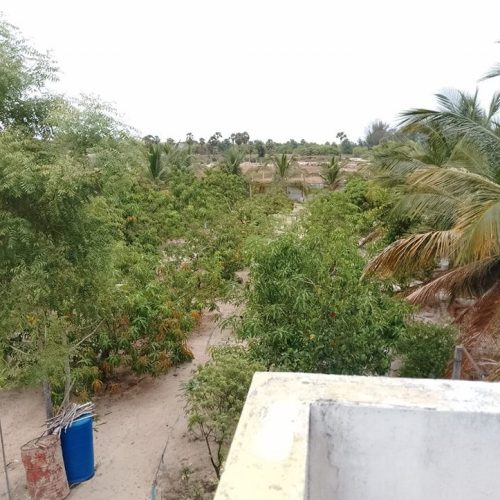 LAND-SALE-MANMUNAI-5103-8