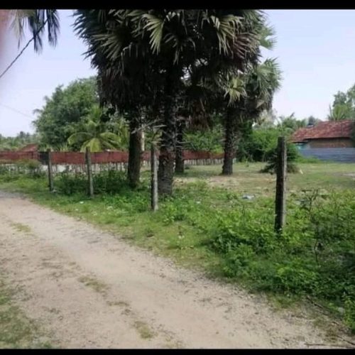 LAND-SALE-MAVADIVEMPU-5621-3