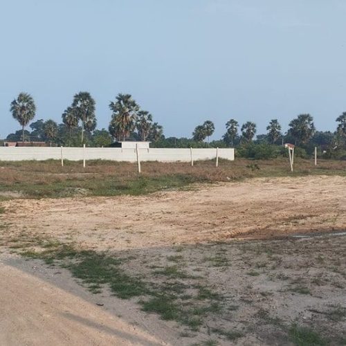 LAND-SALE-OLLIKKULAM-5493-11