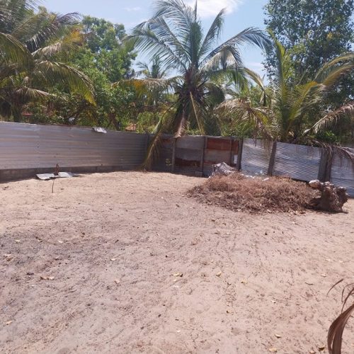 LAND-SALE-PALAMUNAI-5083-1